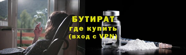 индика Сатка