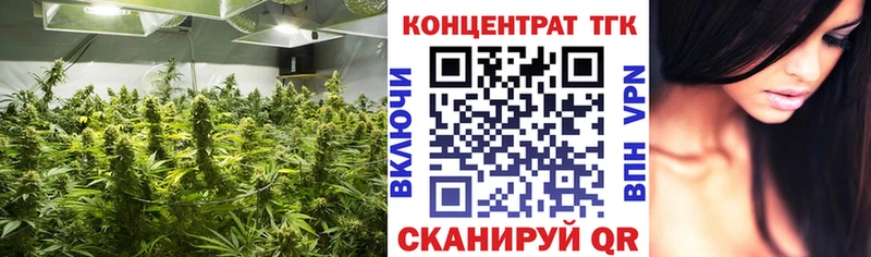 Дистиллят ТГК Wax Горбатов